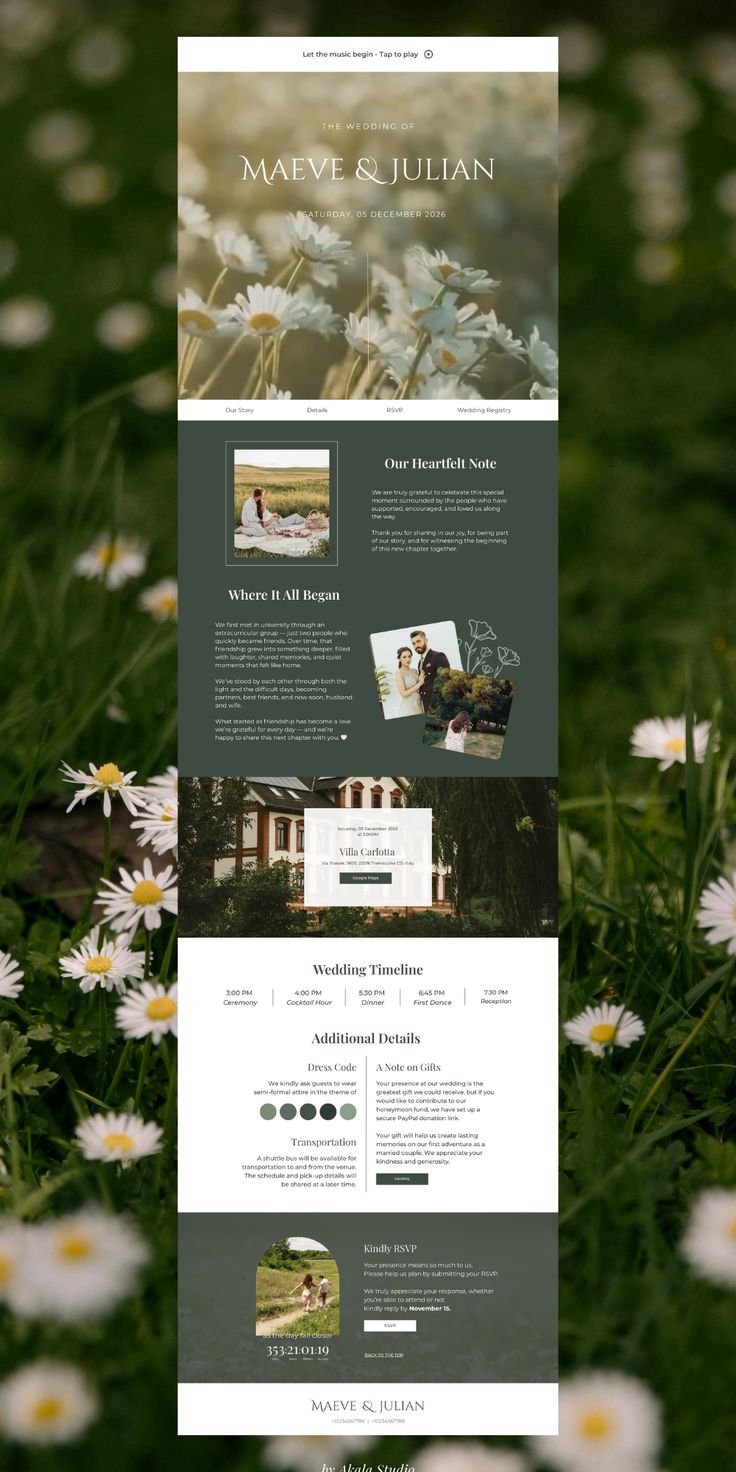 Website Preview 004 website preview